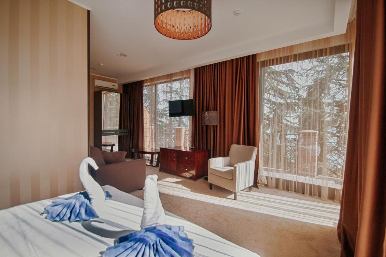 Afon Resort Hotel New Athos Quarto foto